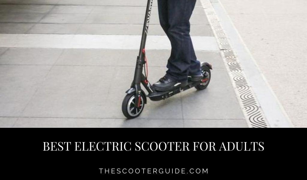 Best electric scooter for adults